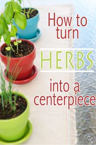 The Herb Centerpiece