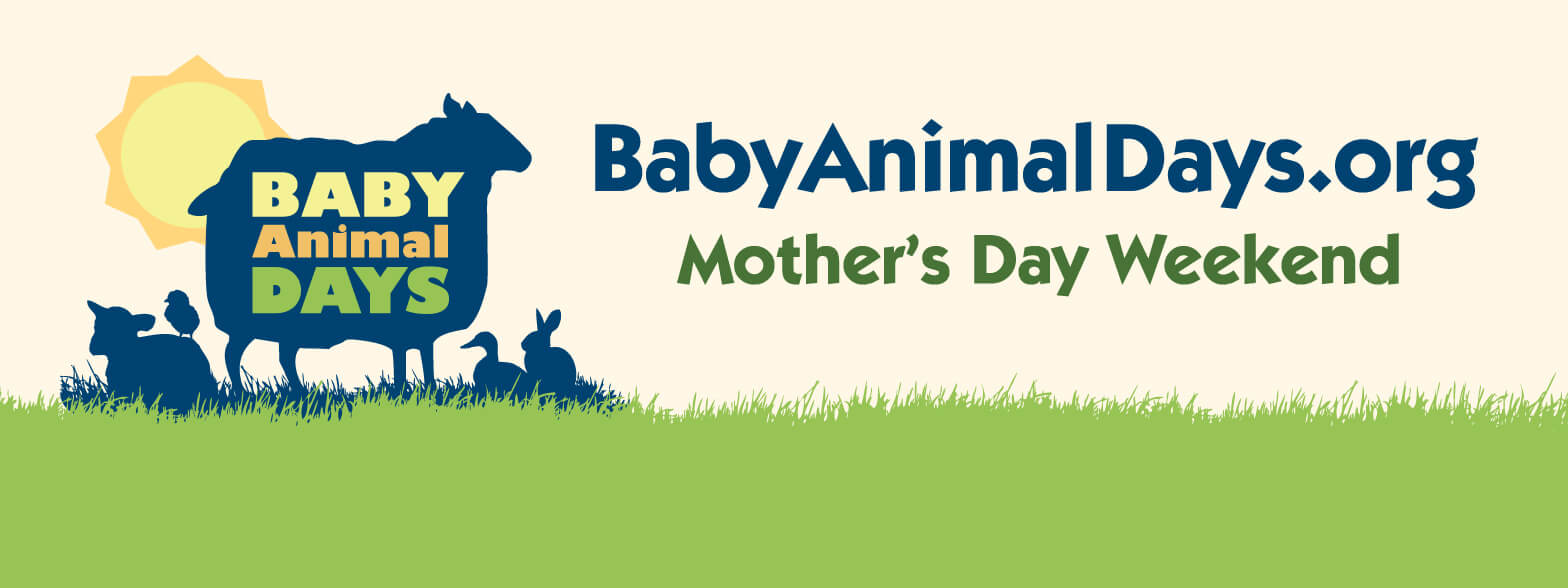 Baby Animal Days 2016 {Giveaway}