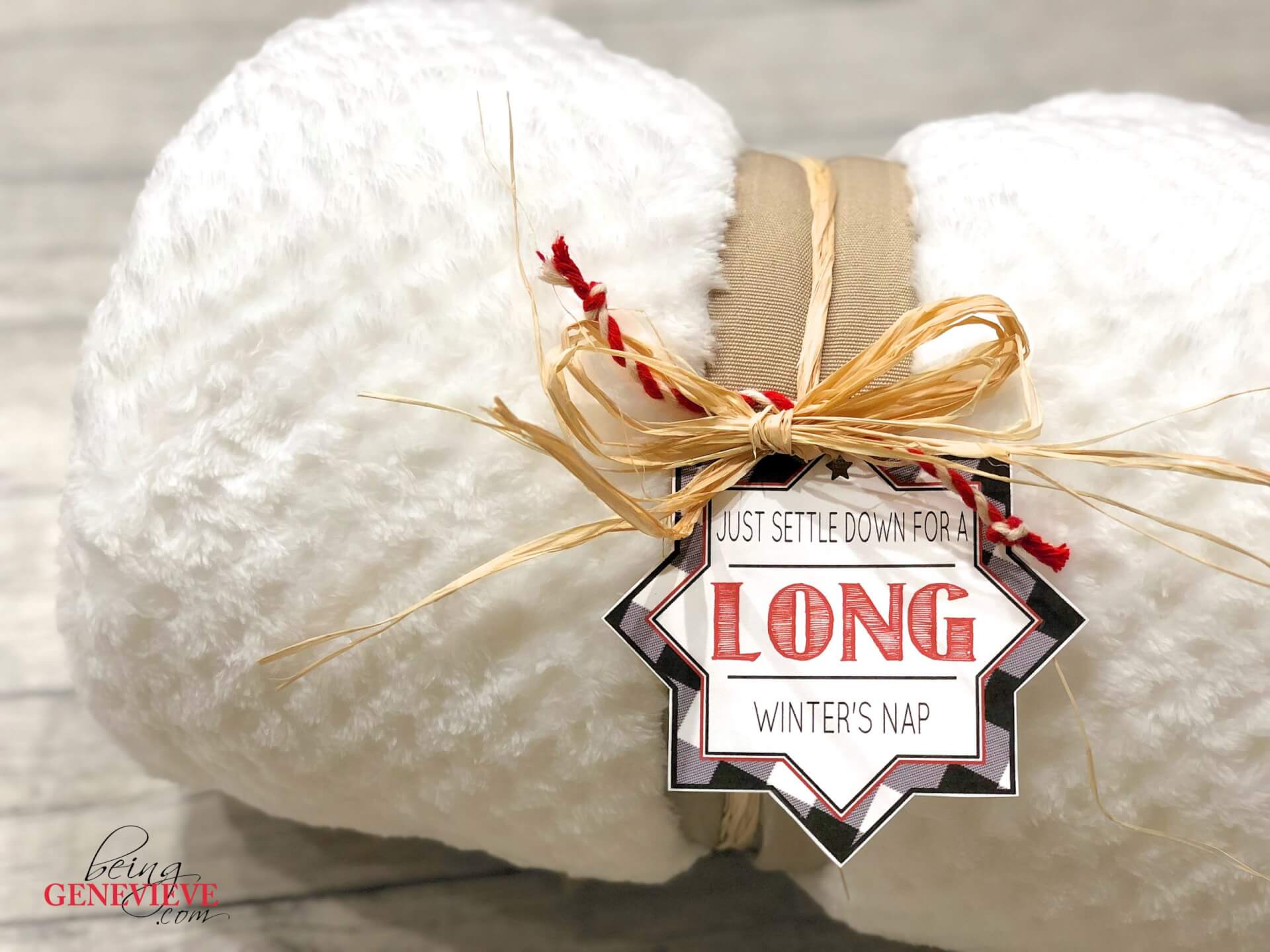 Settle Down For A Long Winter’s Nap Printable