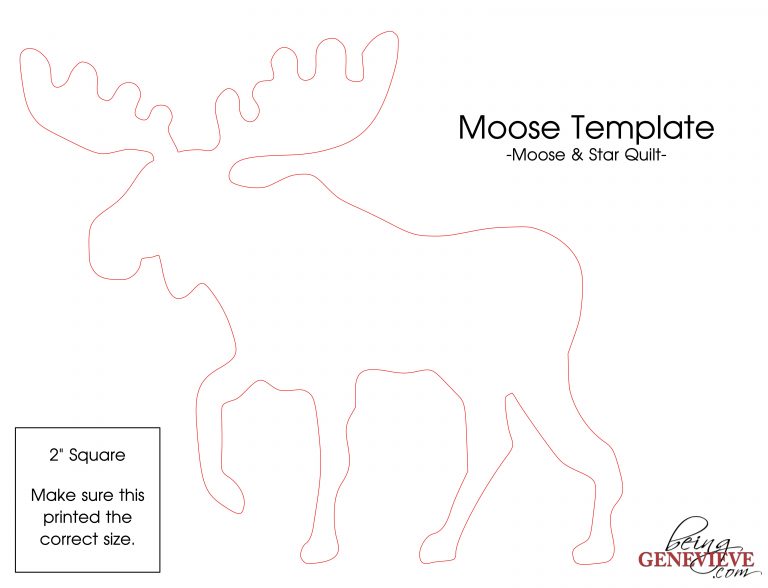 Moose Template